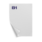 B1 Formaat (707 x 1000 mm)